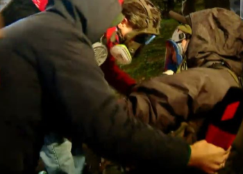 აქციაზე პირველი არხის ფოტორეპორტიორი ირაკლი გედენიძე დაშავდა