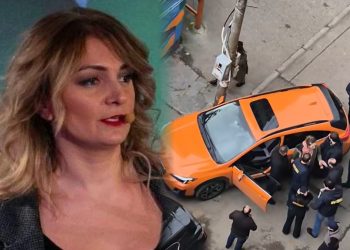 აქტივისტი დოდი ხარხელი შვილის საბავშვო ბაღთან დააკავეს