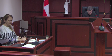 მოსამართლე ზვიად ცეკვავამ ირაკლი წულაია 3000 ლარით, ხოლო ირაკლი დიასამიძე 4500 ლარით დააჯარიმა