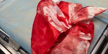 ,,საქართველოს ნაცემი დროშა, ერთერთი სასწრაფოდან…” – ფოტო