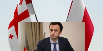 ევროინტეგრაციის კომიტეტის ე.წ. თავმჯდომარეს, ლევან მახაშვილს ვარშავაში შეხვედრაზე მიწვევა გააუქმეს