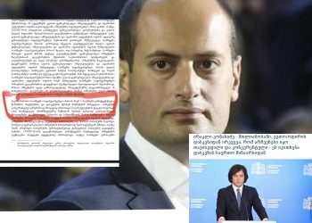 ,,მარტივად რომ ავხსნათ ეუთო/ოდირის დასკვნა“ – რას აქვეყნებს პაპუნა ჯანელიძე