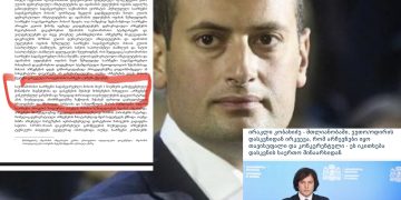 ,,მარტივად რომ ავხსნათ ეუთო/ოდირის დასკვნა“ – რას აქვეყნებს პაპუნა ჯანელიძე