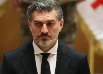 ყველაფერი უნდა გავაკეთოთ იმისთვის, რომ დიპლომატიით და მხოლოდ და მხოლოდ მშვიდობიანი გზით შევძლოთ ჩვენი ქვეყნის გამთლიანება – მიხეილ ყაველაშვილი