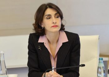 მქონდა შეხვედრები ავსტრიის, ფინეთის, სლოვაკეთის, მეზობელი ქვეყნების კოლეგებთან, არცერთ მათგანს არ დაუსვამს კითხვა ლეგიტიმაციასთან დაკავშირებით – ბოჭორიშვილი