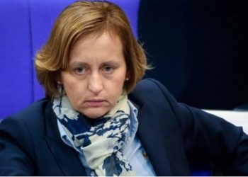 “მიხაელ როთი თქვენი სიძულვილისკენ მოუწოდებს ხალხს, მაშინ, როცა საქართველოში არჩევნებში ჩარევას თავად ცდილობდა” – ბუნდესტაგის წევრი ილონ მასკს