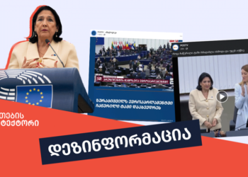 დეზინფორმაციაა, თითქოს ზურაბიშვილს ევროპარლამენტში ჩაწერილი ტაშით დახვდნენ