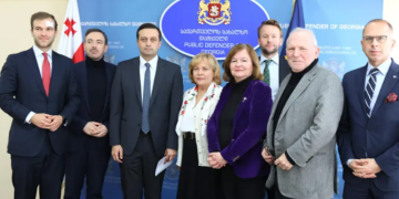 სახალხო დამცველი EU-ს დელეგაციას შეხვდა