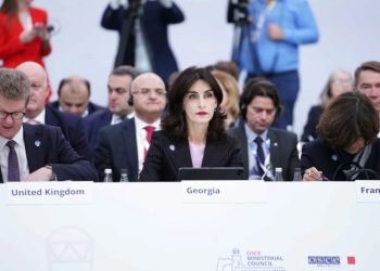 ლავროვის გამოსვლისას დარბაზი პროტესტის ნიშნად დატოვეს, მათ შორის იყო ბოჭორიშვილიც