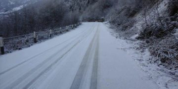 საავტომობილო გზების დეპარტამენტი მძღოლებს აფრთხილებს