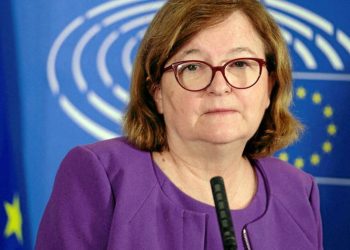 საქართველო რუსეთი არ არის – ლუაზო