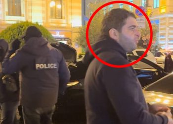 ოპოზიციის დასარბევად გომელაურმა გაუშვა პოლიციის მაღალჩინოსანი, რომელიც ამტკიცებდა, რომ მელიამ უკბინა