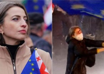 მოსამართლემ ნანა მალაშხია 500 ლარით დააჯარიმა – რას ედავებიან მას?