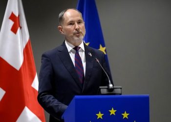 ყველაფერი განიხილება, მათ შორის, უვიზო რეჟიმის შეჩერება; ასევე არის ოფცია გარკვეული კატეგორიის პასპორტებისთვის – ჰერჩინსკი