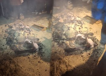 ბათუმის აქციაზე ივანიშვილი ფიტული დაწვეს