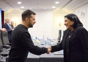 “უკრაინა საქართველოს პრეზიდენტს კოორდინაციას გაუწევს პარტნიორებთან” – ზელენსკი