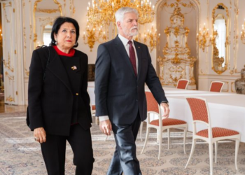 ორი ზარი ჩეხეთის პრეზიდენტისგან და მთავარი გზავნილი საქართველოს