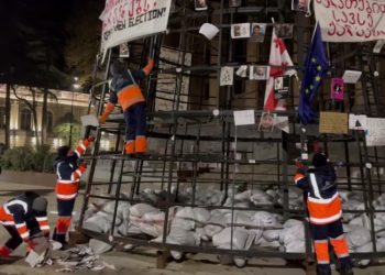 აქციებზე ნაცემ პირთა ფოტოებს დასუფთავების სამსახური ნაძვის ხის კონსტრუქციიდან ხსნის