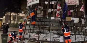 აქციებზე ნაცემ პირთა ფოტოებს დასუფთავების სამსახური ნაძვის ხის კონსტრუქციიდან ხსნის
