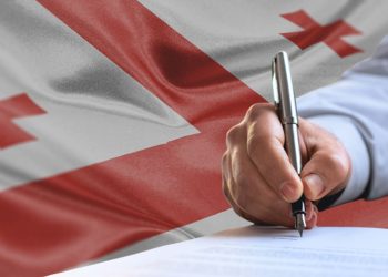 ელჩის დუმილი და უმოქმედობა ამ პროცესში თანამონაწილეობაა – ქართული დიასპორა