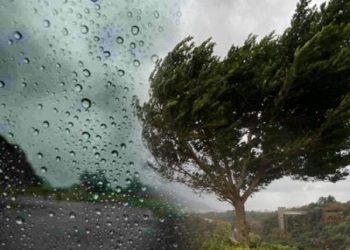 საქართველოში წვიმა და თოვლია მოსალოდნელი – 16 იანვრის ამინდის პროგნოზი