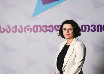 ,,გაფიცვის სტიკერების გამო მასობრივი დაკავება ერთ რამეზე მიუთითებს“ – ნათია მეზვრიშვილი