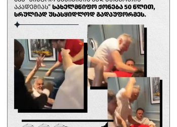 ვიქტორ სანიკიძის შპს-ს სახელმწიფო ქონება, 50 წლით, სრულიად უსასყიდლოდ გადაუფორმეს – ,,ფლანგვის დეტექტორი”