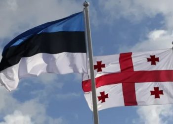 ესტონეთმა ქართველი ხალხის მხარდასაჭერი რეზოლუცია მიიღო – დოკუმენტი