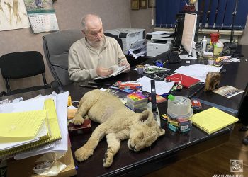 რატომ წევს ბოკვერი მაგიდაზე? – რას წერს თბილისის ზოოპარკის ადმინისტრაცია