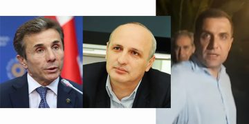 ვინ არის პოლიციელი, რომელიც მზია ამაღლობელი დააკავა და როგორ გაქრა მისი გვარი ხმაურიანი საქმის მასალებიდან