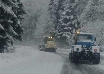 ინფორმაცია გზებზე შეზღუდვების შესახებ – დეტალურად