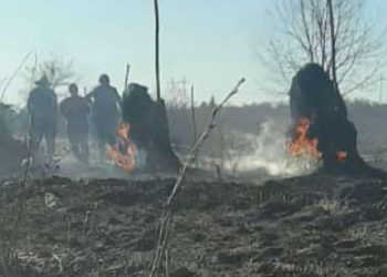 სოფელ მიქავაში ხანძარი იყო – ადგილზე მუშაობს 2 სახანძრო ბრიგადა