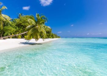 დიპ. პასპორტების მფლობელებისთვის მალდივებში უვიზოდ შესვლაზე მოლაპარაკებები გაიმართება