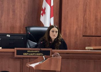 „ივანიშვილის მონებო“, „რუსებო“ – მზია ამაღლობელს პატიმრობის შეუფარდეს