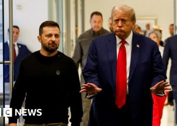 ტრამპმა მითხრა: „ერთ-ერთ პირველ ვიზიტს თქვენსას ველოდები” – ზელენსკი