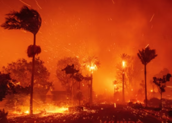 მასშტაბური ხანძარი ლოს-ანჯელესში – 7 იანვარს ტყეებში გაჩენილი ცეცხლის ლოკალიზება ამ დრომდე ვერ ხდება