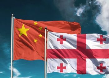 ვის ეკუთვნის 10 უმსხვილესი კომპანია, რომელმაც 2024 წელს ჩინეთიდან პროდუქცია შემოიტანა