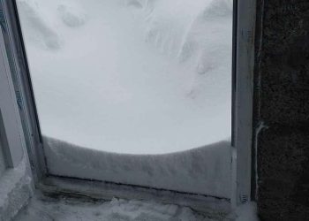 დახმარების თხოვნები გურიიდან – მისამართები