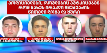 4 პოლიციელი ამტკიცებს, რომ ნახეს, როგორ გაუწითლდა ლოყა და ყური ირაკლი დგებუაძეს