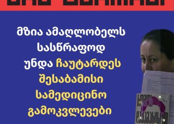 მზია ამაღლობელს არ უტარდება ყველა ის საჭირო პროცედურა – საია
