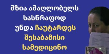 მზია ამაღლობელს არ უტარდება ყველა ის საჭირო პროცედურა – საია