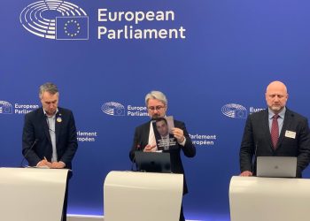 ნიკა გვარამიას, ზურაბ გირჩი ჯაფარიძისა და ევროპარლამენტარების ერთობლივი პრესკონფერენცია