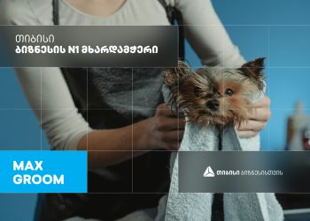 Max Groom — სალონი ოთხფეხა მეგობრებისთვის, რომელიც თიბისი ბიზნესის მხარდაჭერით გაიხსნა