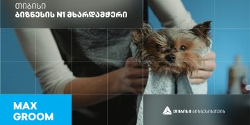 Max Groom — სალონი ოთხფეხა მეგობრებისთვის, რომელიც თიბისი ბიზნესის მხარდაჭერით გაიხსნა