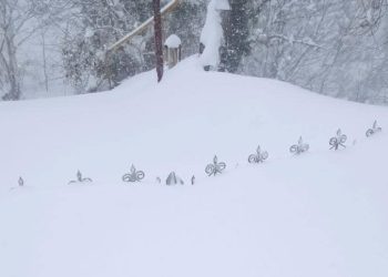 “ამ ჭიშკარს შიგნით ცხოვრობს 89 წლის ქალბატონი… ხალხი ღმერთის იმედზეა მიტოვებული” – გურია