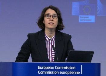 “საქართველოში მკვეთრ დემოკრატიულ უკუსვლას და პოლიტიკურ კრიზისს ვხედავთ”– ევროკავშირის უმაღლესი წარმომადგენლის პრესპიკერი