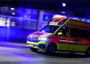 ავსტრიაში საქართველოს მოქალაქე არალეგალური კოსმეტიკური ოპერაციის ჩატარებისას დააკავეს