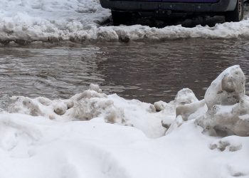 “ხალხო, ბათუმში ტროტუარებზე როგორ გადაადგილდებით, ან ქუჩას რანაირად კვეთთ” – ნაზიბროლა რეხვიაშვილი