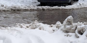 “ხალხო, ბათუმში ტროტუარებზე როგორ გადაადგილდებით, ან ქუჩას რანაირად კვეთთ” – ნაზიბროლა რეხვიაშვილი