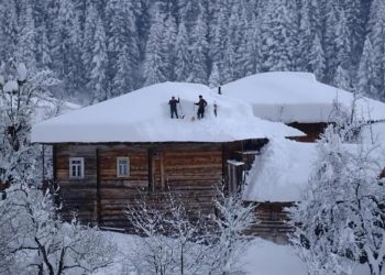 “რადგან სახელმწიფო ვერ ახორციელებს დახმარებას, ჩვენ უნდა ვიმოქმედოთ, დრო აღარ გვაქვს!” – სამოქმედო გეგმა